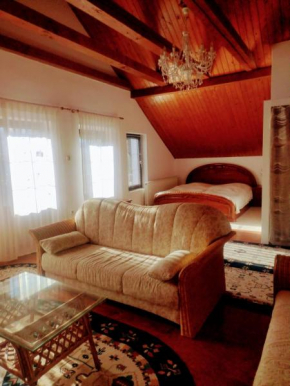 Studio 45 sqm with mountain view